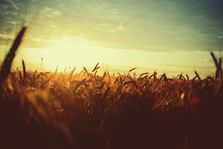 How to Stay Luscious: 5 Summer Skin Care Tips
